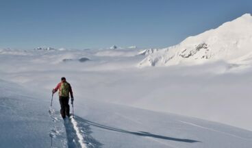 Whiteguides, Bild 9