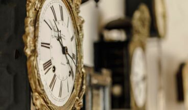 Hotel Austria, Image 24