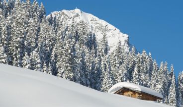 Pension Walkerbach, Image 7