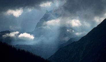 Pension Waldhof, Image 47