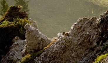 Naturschutzgebiet "Gipslöcher", Bild 2