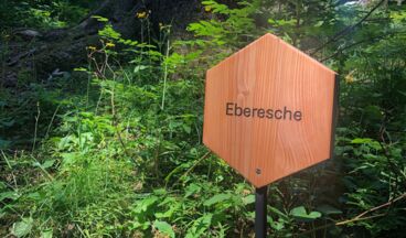 Arlenzauberweg - Naturschätze unter die Lupe genommen, Bild 9