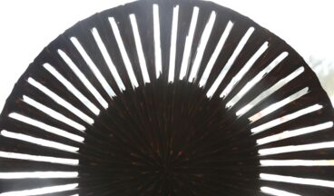 Kristiania Lech, Bild 24