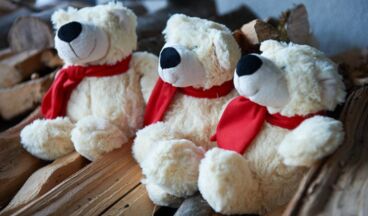 Boutique-Hotel Schmelzhof, Bild 10