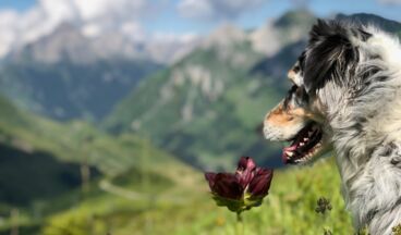 Hohe Welt - luxury apartments, Image 18