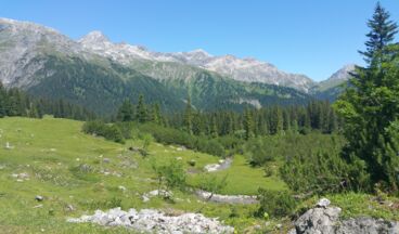 Pension Walkerbach, Image 18