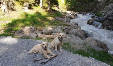 Pension Walkerbach, Image 16