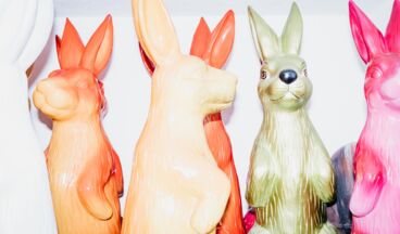 Hotel Edelweiss, Bild 35