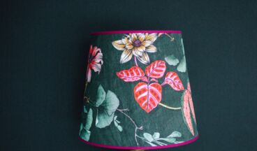 Appart Hotel Knappaboda, Bild 33