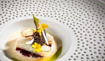 Burg Vital, Picea, Bild 11