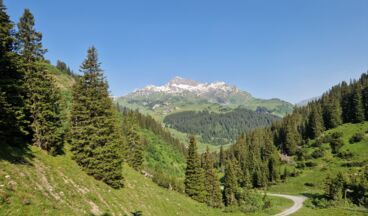 Trailrunning: Über das Wöstertäli auf den Rüfikopf, Bild 3