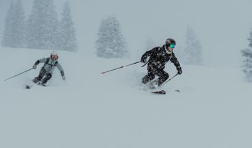 Hotel Austria, Image 28