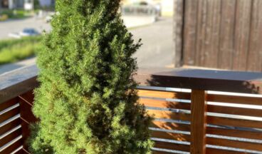 Naturhaus Loacker, Image 9