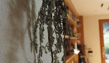 Herb atelier - Shop, Image 8