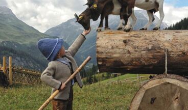 Summer on the Rud-Alpe, Image 7