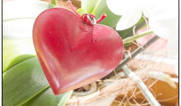 Hotel Roggal, Bild 22