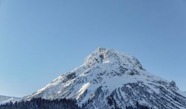 Hotel Austria, Image 18