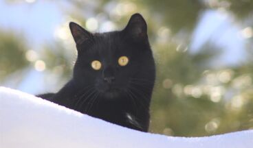 Pension Alwin, Bild 57