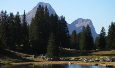 Pension Haus Nenning, Image 18