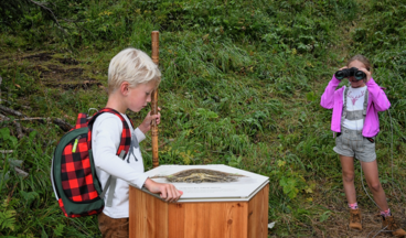 Arlenzauberweg - Naturschätze unter die Lupe genommen, Bild 10