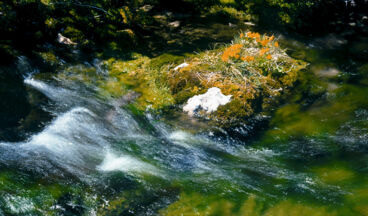 Göppinger hut, Image 3