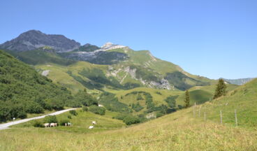 Geocaching Lech: Gipts das?, Image 4