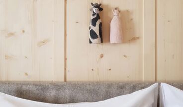 Pension Alpenfluh, Image 29