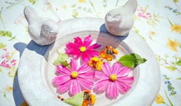 Appartements Dr. Muxel, Bild 61