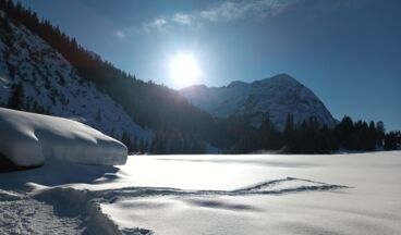 Pension Zug, Bild 13