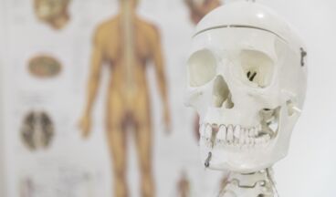 Astrid Rhomberg - Physio Lech, Bild 6