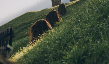 Hotel Arabell, Bild 48