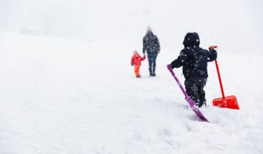 Haus Braunarl, Bild 3