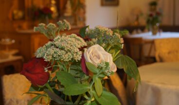 Pension Hartenfels, Bild 10