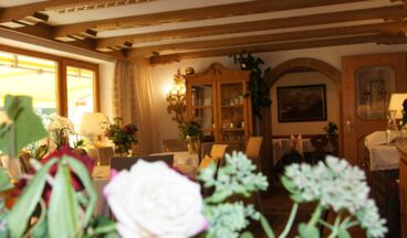 Pension Hartenfels, Bild 20