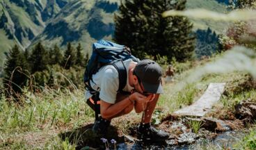 Hotel Austria, Image 29