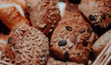 Hotel Austria, Image 39