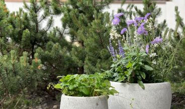 Naturhaus Loacker, Image 10