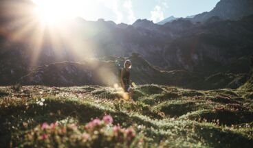 Hotel Aurora, Bild 27