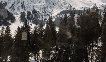 Hotel Goldener Berg, Bild 96