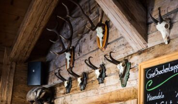 Kriegeralpe, Skihütte, Bild 10