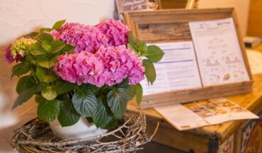 Pension Daniel, Image 2