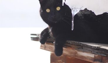 Pension Alwin, Bild 58