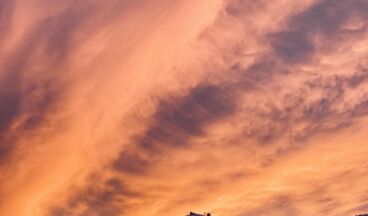 Appartement Birkenhof, Bild 18