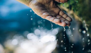 Lechufer-Lauf, Bild 3