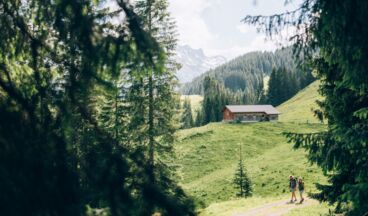 Zur Bodenalpe, Bild 1