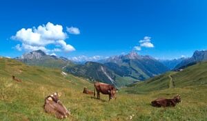 10 Lech - Warth