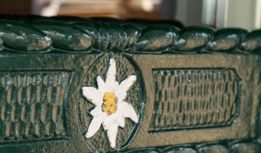 Hotel Edelweiss, Bild 10