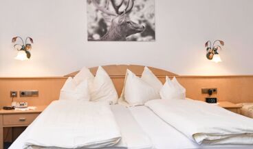 Gasthof Pension Alphorn, Bild 14