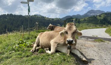 Pension Walkerbach, Image 22