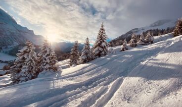 Lech Hostel, Image 22